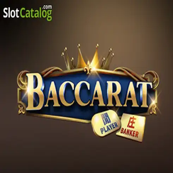 ব্যাকারেট C08 Cricket bat live