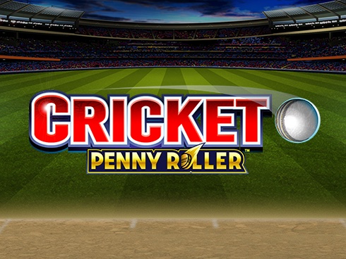 ক্রিকেট যুদ্ধ Cricket bat game